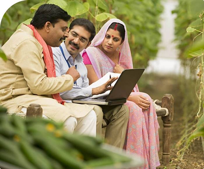 Agriculture Term Loan